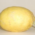 Zitrone 2